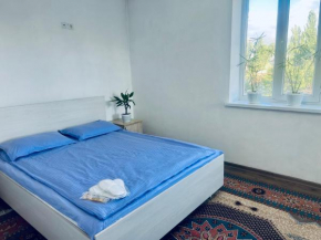 У Тимура Karakol